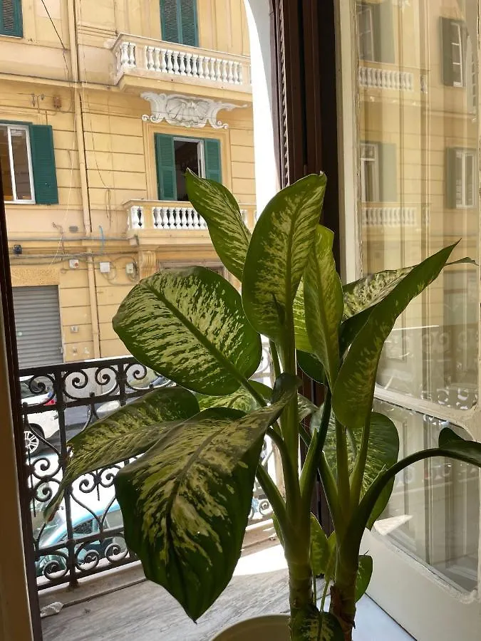 Santa House Apartment Naples 0*,  Italy